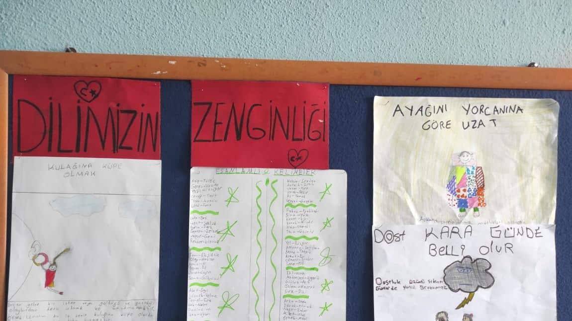 Dilimizin Zenginlikleri Projesi